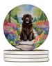 Newfoundland Spring Path Large Sandstone Coasters Pack Of 4 Absorbent Round Coasters Decor Gifts For Men Or Women, 4 In, Multicolor_maomaolike.com