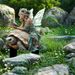Acrylic Garden Ground Creative Potted Plant Ornament Insert Decor,Elegant Fairy & Ancient Giant Turtle Figurine Yard Lawn Outdoor Landscape Decoration_maomaolike.com