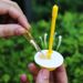 1/10pcs Garden Fruit Fly Trap Plastic Transparent Anti Flies Traps Environmentally Insect Catchers Orchard Pest Control_maomaolike.com