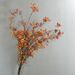 Artificial 13 Forks Large Clusters Mountain Return Fruit Vine Berry Wrapped Branch Floral Art Chinese Style Flower_maomaolike.com