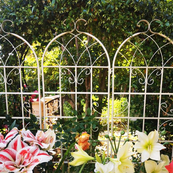 4 Pack Metal Garden Trellis 71" X 19.7" Rustproof Trellis For Climbing Plants Outdoor Flower Support Cream White_maomaolike.com