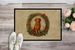 Nova Scotia Duck Tolling Retriever Christmas Flowers Doormat Front Door Mat Indoor Outdoor Rugs For Entryway, Non Slip Washable Low Pile, 24H X 36W_maomaolike.com