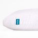BED PILLOWWUxSBUbeauesUksgnjatg_maomaolike.com