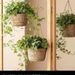 Hanging Plants, Baskets, Hanging Pots_maomaolike.com