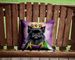 Affenpinscher King Of Mardi Gras Throw Pillow Machine Washable, Indoor Outdoor Decorative Pillow For Couch, Bed Or Patio, 14Hx14W_maomaolike.com