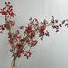 Artificial North American Wintergreen Mountain Return Fruit Vine Berry Wrapped Branches Chinese Style Decoration Wedding_maomaolike.com