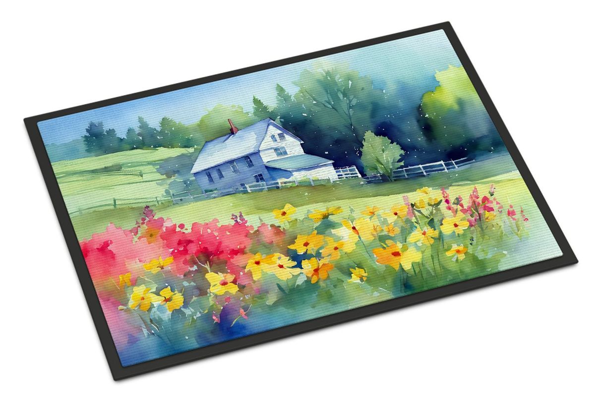 Massachusetts Mayflowers In Watercolor Doormat Front Door Mat Indoor Outdoor Rugs For Entryway, Non Slip Washable Low Pile, 24H X 36W_maomaolike.com