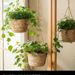Hanging Plants, Baskets, Hanging Pots_maomaolike.com
