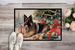 Belgian Tervuren Cozy Christmas Doormat Front Door Mat Indoor Outdoor Rugs For Entryway, Non Slip Washable Low Pile, 24H X 36W_maomaolike.com