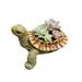 Resin Turtle Flowerpot Ornament, Home Garden Succulent Plant Decoration, Animal-shaped Simulation Craft_maomaolike.com