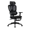 Multi-functional Ergonomic Mesh Office Chair With Adjustable Armrest,Footrest,Lumbar Support, 360° Silent Wheels,Headrest For Home & Office,Black_maomaolike.com