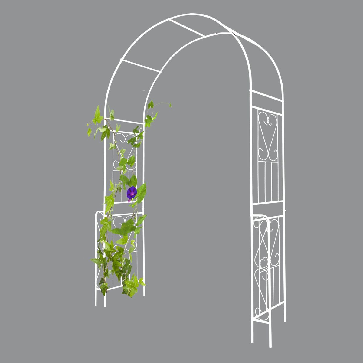 Metal Garden Arch W55'' X H94.5'' Garden Arbor Trellis Climbing Plants Support Rose Arch Outdoor Arch Cream White_maomaolike.com