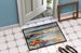 Starfish Doormat Front Door Mat Indoor Outdoor Rugs For Entryway, Non Slip Washable Low Pile, 24H X 36W_maomaolike.com