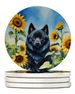 Schipperke In Sunflowers Large Sandstone Coasters Pack Of 4 Absorbent Round Coasters Decor Gifts For Men Or Women, 4 In, Multicolor_maomaolike.com