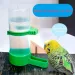 Water Dispensers For Cages Bird Cups Bottles Sparrows Parrots Budgies Atiels Lovebirds Feeder And Waterer_maomaolike.com