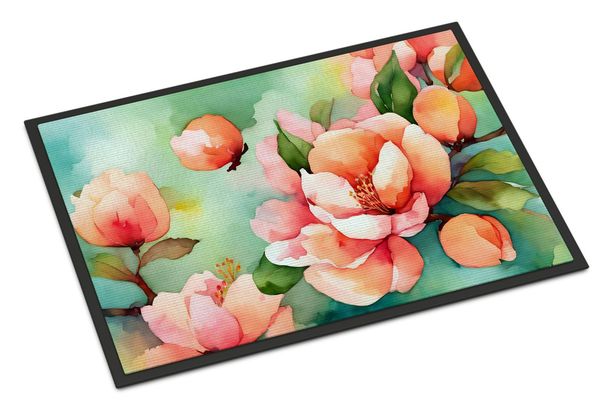 Delaware Peach Blossom In Watercolor Doormat Front Door Mat Indoor Outdoor Rugs For Entryway, Non Slip Washable Low Pile, 24H X 36W_maomaolike.com