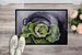 Home Grown In Plaquemines Parish Cabbage Doormat Front Door Mat Indoor Outdoor Rugs For Entryway, Non Slip Washable Low Pile, 24H X 36W_maomaolike.com