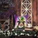 Collie King Of Mardi Gras Throw Pillow Machine Washable, Indoor Outdoor Decorative Pillow For Couch, Bed Or Patio, 18Hx18W_maomaolike.com