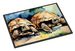 Turtles Tortoises Doormat Front Door Mat Indoor Outdoor Rugs For Entryway, Non Slip Washable Low Pile, 24H X 36W_maomaolike.com