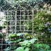 2 Pack Metal Garden Trellis 86.7" X 19.7" Rustproof Trellis For Climbing Plants Outdoor Flower Support_maomaolike.com