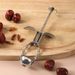 Household Red Date Pitcher Kitchen Pitting Tool_maomaolike.com