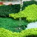 Moss Area Rug Water-Absorbent And Non-slip Moss Rugs For Bedroom Easy To Clean Moss Carpet Suitable For Bathroom, Living, Bedroom Moss Rugs For Bedroom_maomaolike.com