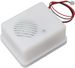 Motion Sensor Scream Sound Box MP3 Halloween Music Scary Voice Audio Speaker_maomaolike.com