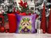 Wheaten Terrier King Of Mardi Gras Throw Pillow Machine Washable, Indoor Outdoor Decorative Pillow For Couch, Bed Or Patio, 14Hx14W_maomaolike.com