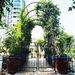 Metal Garden Arch With Gate And Plant Pot Garden Arbor Trellis Climbing Plants Support Rose Arch Black_maomaolike.com