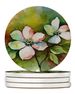 Virginia American Dogwood In Watercolor Large Sandstone Coasters Pack Of 4 Absorbent Round Coasters Decor Gifts For Men Or Women, 4 In, Multicolor_maomaolike.com