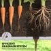 2 Tier Raised Garden Bed, Wooden Elevated Planter Box With Legs, Outdoor Plant Bed For Flowers Vegetables Herbs Gray_maomaolike.com