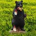 Resin Bear Figurine Statue Craft, Decorative Tabletop Ornament For Indoor Desk And Outdoor Garden Landscape Layout
_maomaolike.com