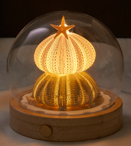 Rechargeable Sea Urchin Night Light Kit - Valentine's Day, Qixi Festival, Birthday Gift For Girls, DIY Material Pack_maomaolike.com