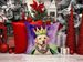 Labrador Retriever King Of Mardi Gras Throw Pillow Machine Washable, Indoor Outdoor Decorative Pillow For Couch, Bed Or Patio, 14Hx14W_maomaolike.com