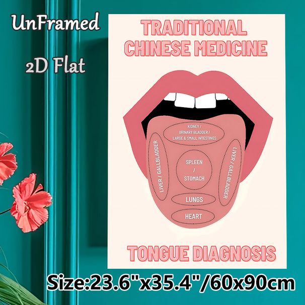 Traditional Chinese Medicine Tongue Diagnosis Painting Poster, Clear Illustrative Poster, Informative TCM Reference Ideal For Wellness Clinics, Study_maomaolike.com