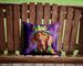Vizsla King Of Mardi Gras Throw Pillow Machine Washable, Indoor Outdoor Decorative Pillow For Couch, Bed Or Patio, 14Hx14W_maomaolike.com