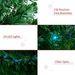 6' Tall Douglas Fir Pre-Lit Artificial Christmas Tree With Realistic Branches, 24 Multi-Color LED Lights, Fiber Optics And 230 Tips_maomaolike.com