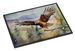 Hawk Doormat Front Door Mat Indoor Outdoor Rugs For Entryway, Non Slip Washable Low Pile, 24H X 36W_maomaolike.com