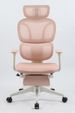 Ergonomic Office Chair With Footrest, High Back Computer Office Chair With Dynamic Lumbar Support, 2D Headrest, 2D Armrest, Sponge Seat, Mesh Home Office Desk Chair For Adults, Pink_maomaolike.com