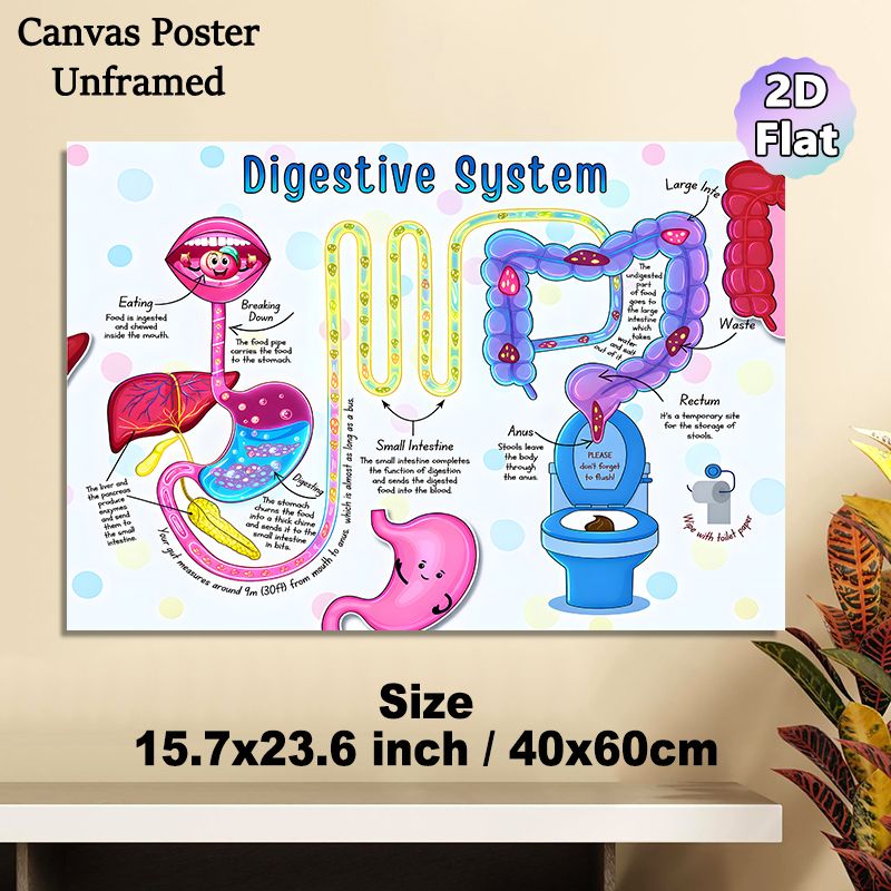 Digestive System Educational Painting Poster, Vibrant Cartoon-style Human Digestive System Illustration Poster, Informative Learning Tool With Clear_maomaolike.com