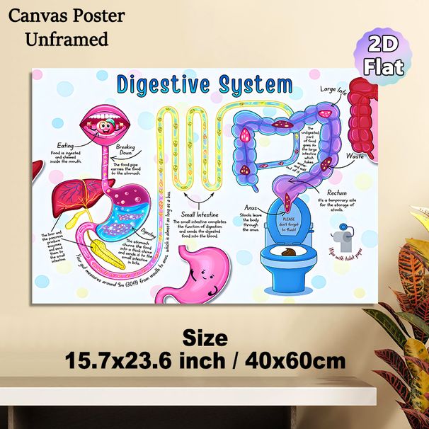 Digestive System Educational Painting Poster, Vibrant Cartoon-style Human Digestive System Illustration Poster, Informative Learning Tool With Clear_maomaolike.com