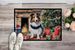 Sheltie Cozy Christmas Doormat Front Door Mat Indoor Outdoor Rugs For Entryway, Non Slip Washable Low Pile, 24H X 36W_maomaolike.com
