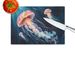 Deep-Sea Jellyfish Glass Cutting Board Decorative Tempered Glass Kitchen Cutting And Serving Board Large Size Chopping Board_maomaolike.com