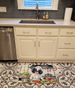 Japanese Chin The Chef Memory Foam Kitchen Mat Machine Washable Anti-Fatigue Mat Cushion Comfort Bath Mat Or Kitchen Rug_maomaolike.com