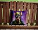 Doberman Pinscher King Of Mardi Gras Throw Pillow Machine Washable, Indoor Outdoor Decorative Pillow For Couch, Bed Or Patio, 14Hx14W_maomaolike.com