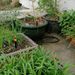 Ground Inserted Integrated Adjustable Atomizing Nozzle, Drip Spray, Garden Automatic Irrigation Watering Device_maomaolike.com