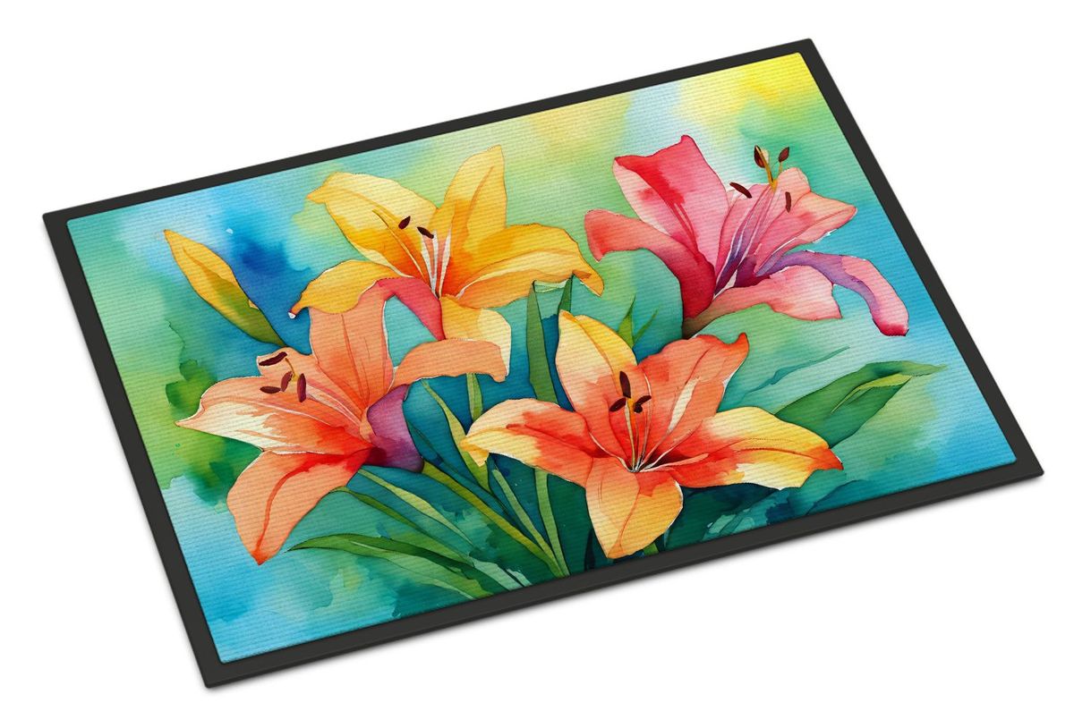 Lilies In Watercolor Doormat Front Door Mat Indoor Outdoor Rugs For Entryway, Non Slip Washable Low Pile, 24H X 36W_maomaolike.com