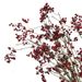 Mountain Return Vine Berry Wrapped Artificial Fruit Branch Floral Arrangement 13 Forks Nine Fruits_maomaolike.com