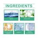 Jakehoe Toilet Cleaner Household Bathroom Cleaner Toilet Cleaner Odor Toilet Cleaner_maomaolike.com