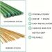 30PCS Plant Vine Poles, 60cm Length, Outdoor Garden Pillars_maomaolike.com